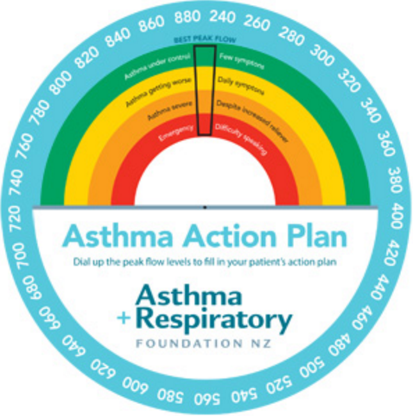 Asthma Action Plan Peak Flow Wheel