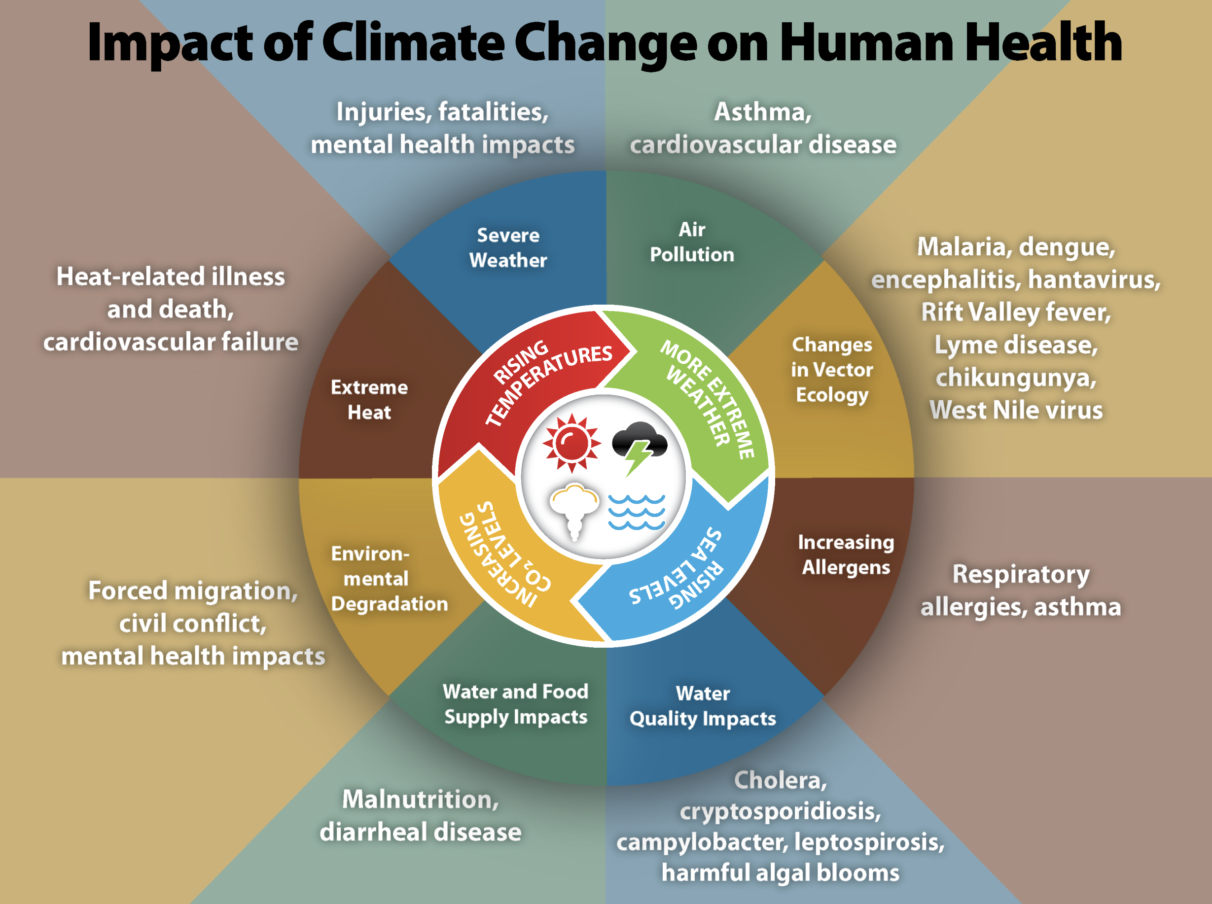 Impact-of-Climate-Change-on-Human-Health.png#asset:4097:url