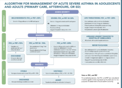 Adolescent Adult Acute Management Flowchart