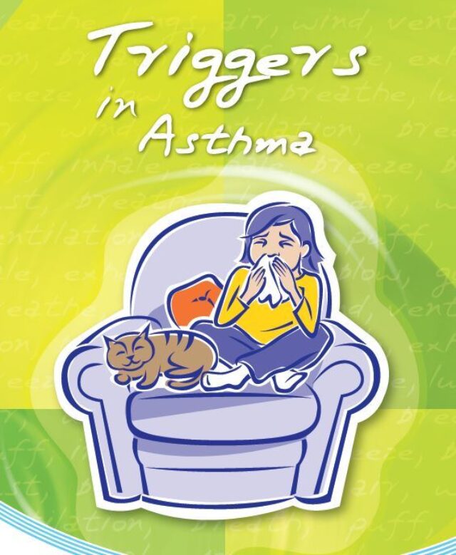 Triggers In Asthma