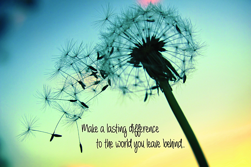 Make A Lasting Difference