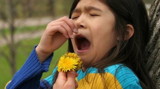 Asthma Triggers Allergy